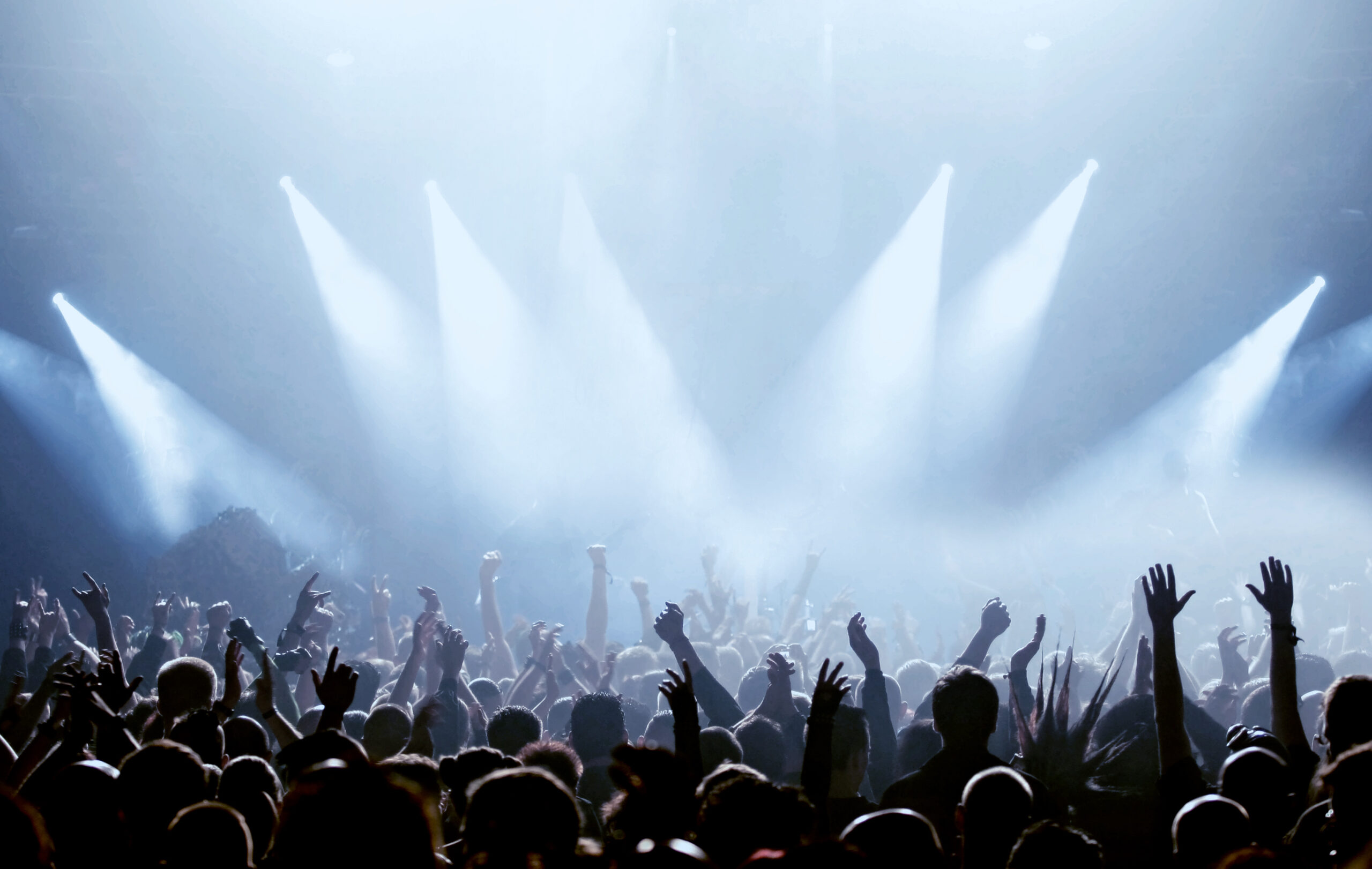 Audience full of fans